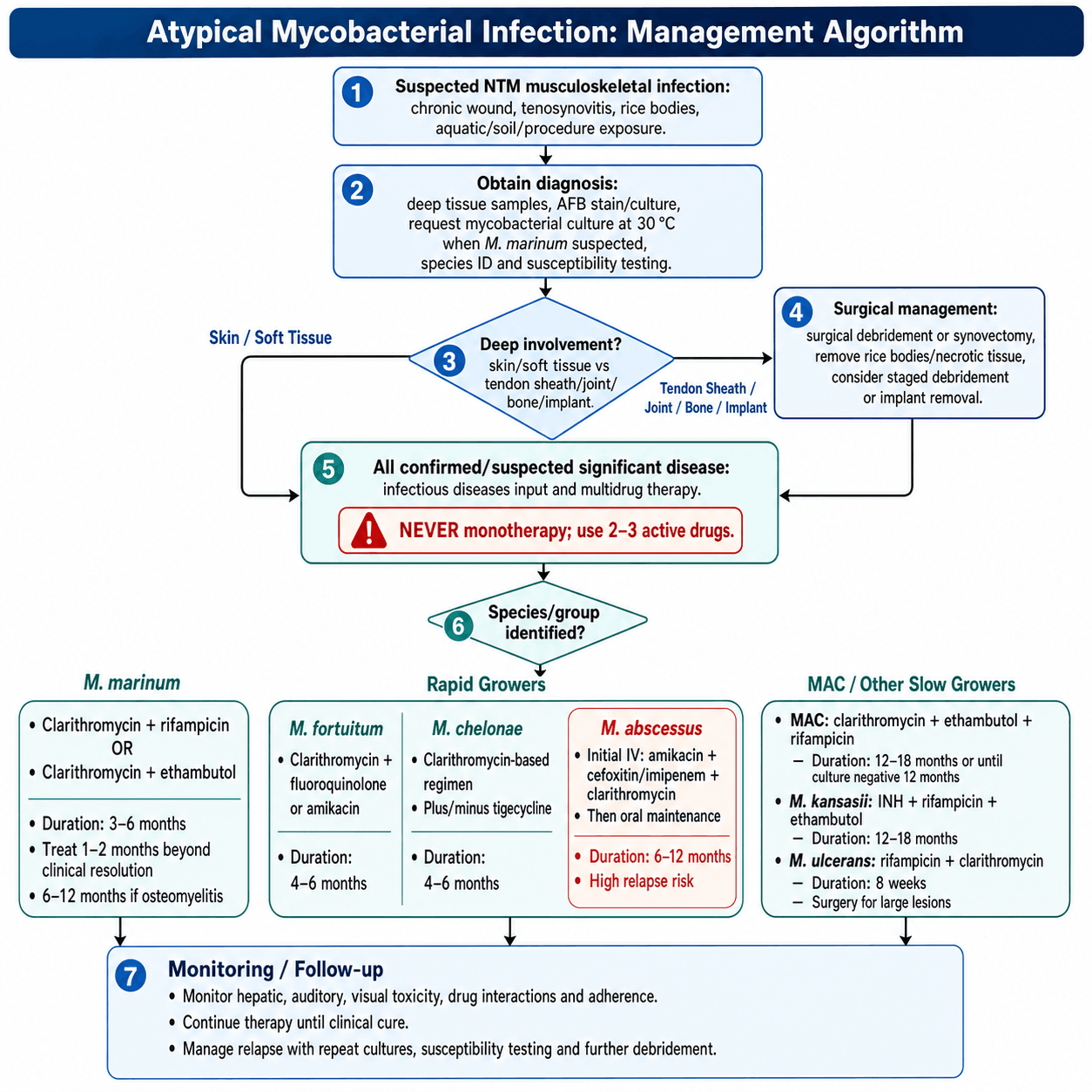 Seven-step management algorithm flowchart for non-tuberculous mycobacterial musculoskeletal infection, from suspicion and diagnosis through surgery, multidrug therapy, species-specific regimens and monitoring