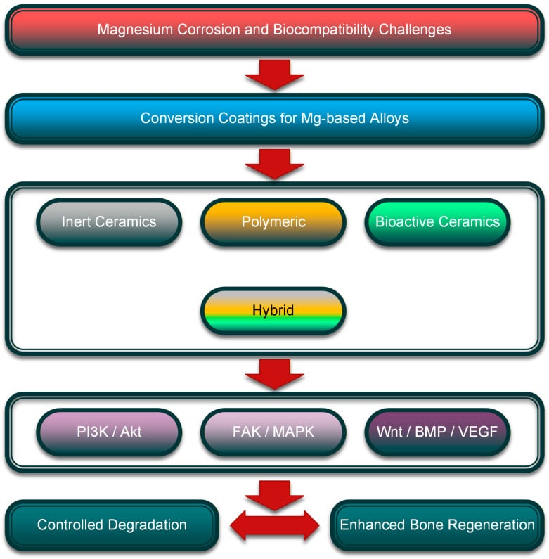 Flowchart diagram detailing magnesium corrosion mechanisms and conversion coatings