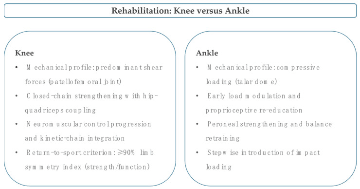 Rehabilitation principles for focal cartilage lesions of the knee and ankle