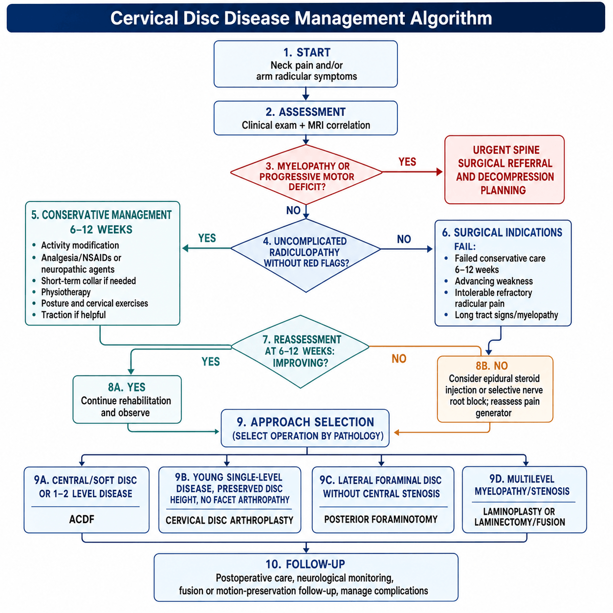 cervical disc disease management algorithm