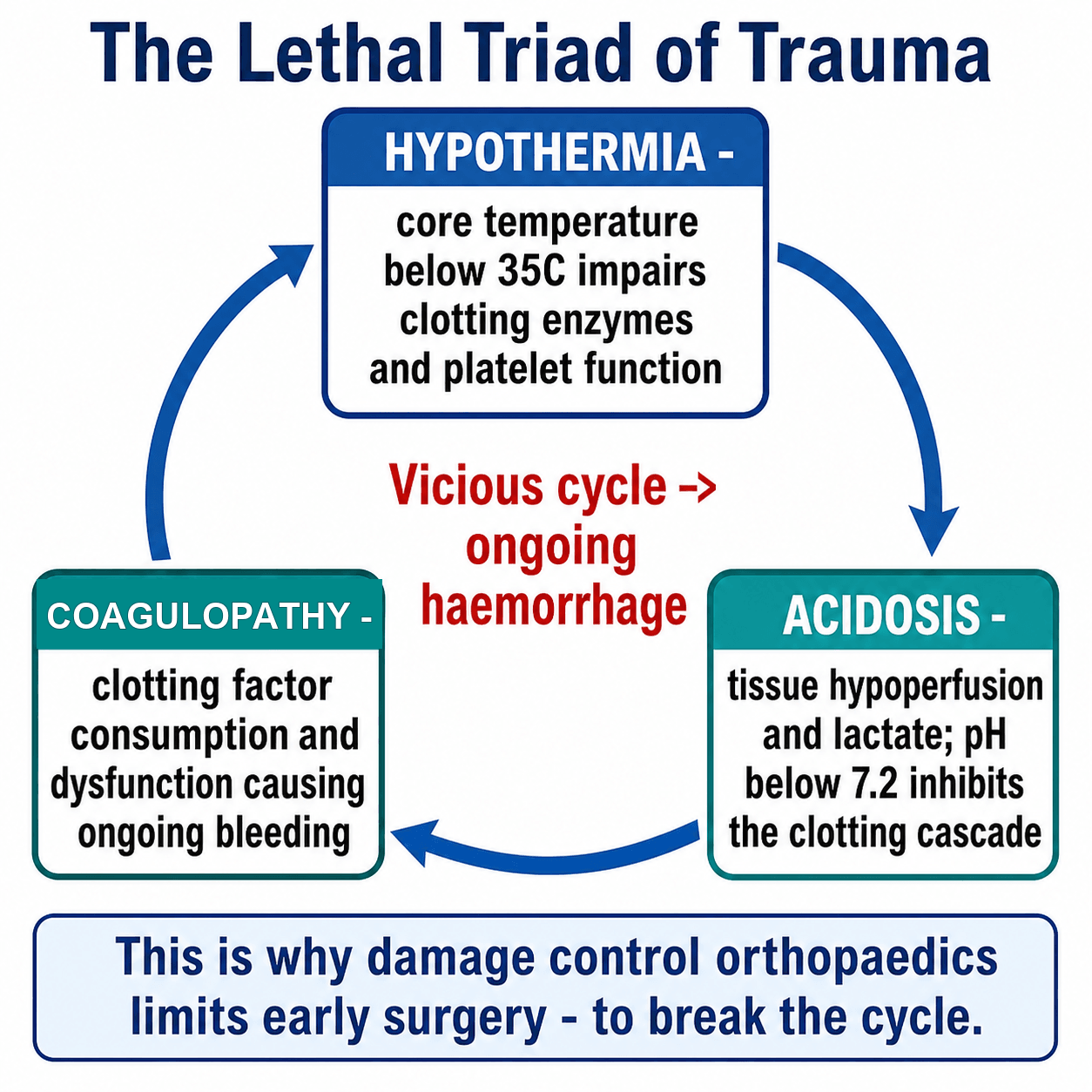 Diagram of the lethal triad of trauma: hypothermia, acidosis and coagulopathy in a self-reinforcing vicious cycle.