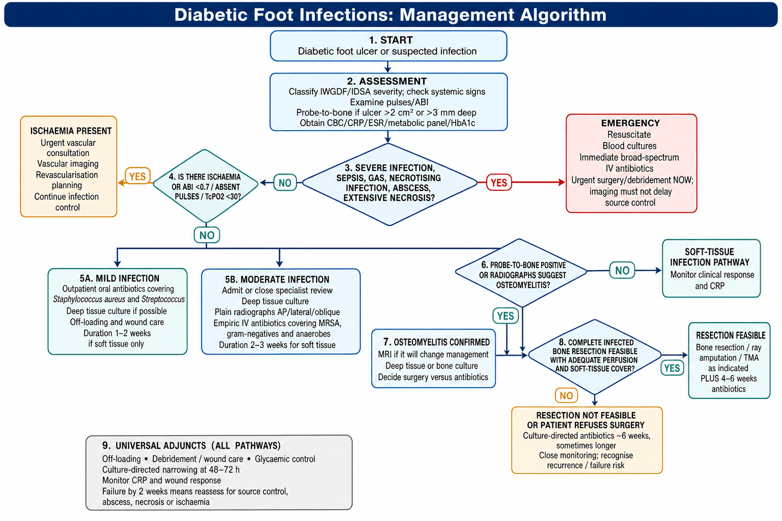 Flowchart: management algorithm for diabetic foot infections.