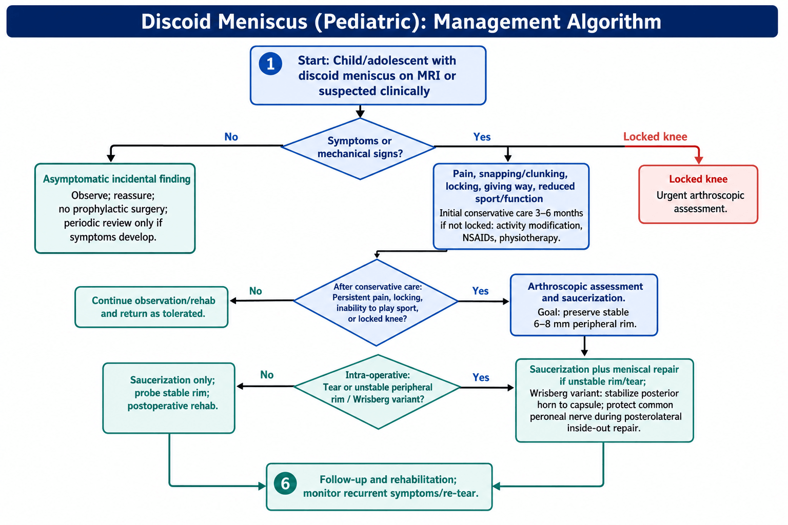 Management algorithm for discoid meniscus