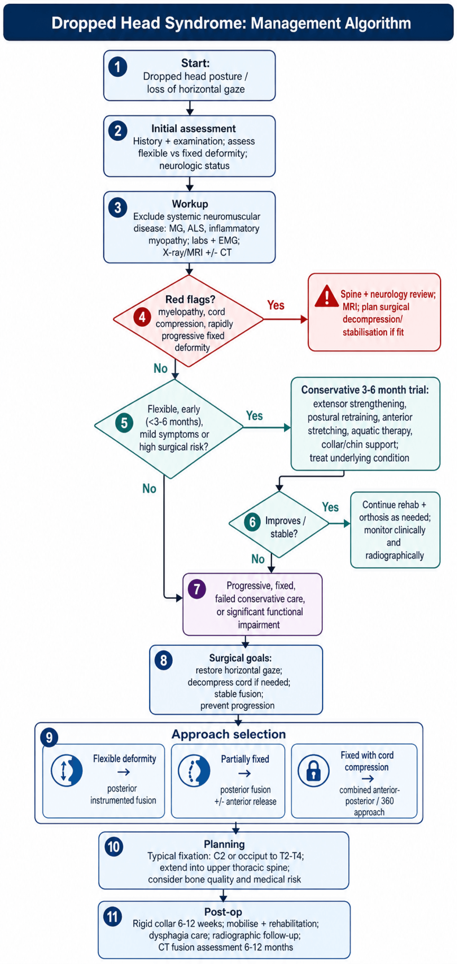 Flowchart: management algorithm for dropped head syndrome.