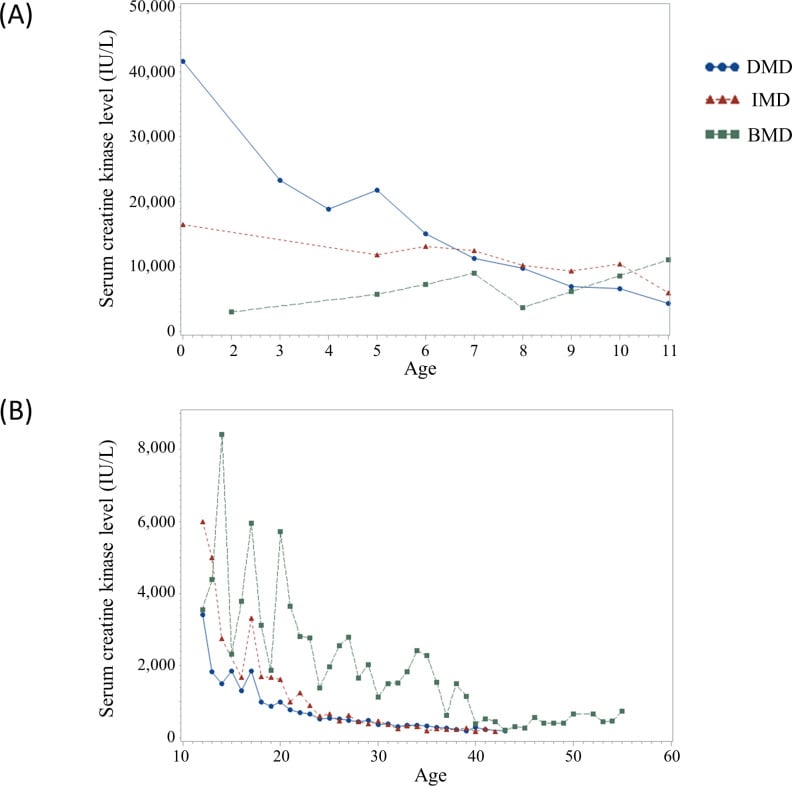 Age-related serum creatine kinase trajectories in Duchenne, intermediate and Becker muscular dystrophy.