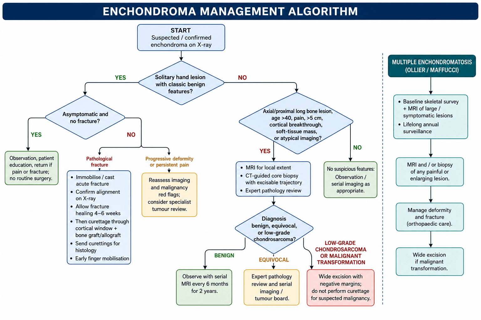 Flowchart: management algorithm for enchondroma.