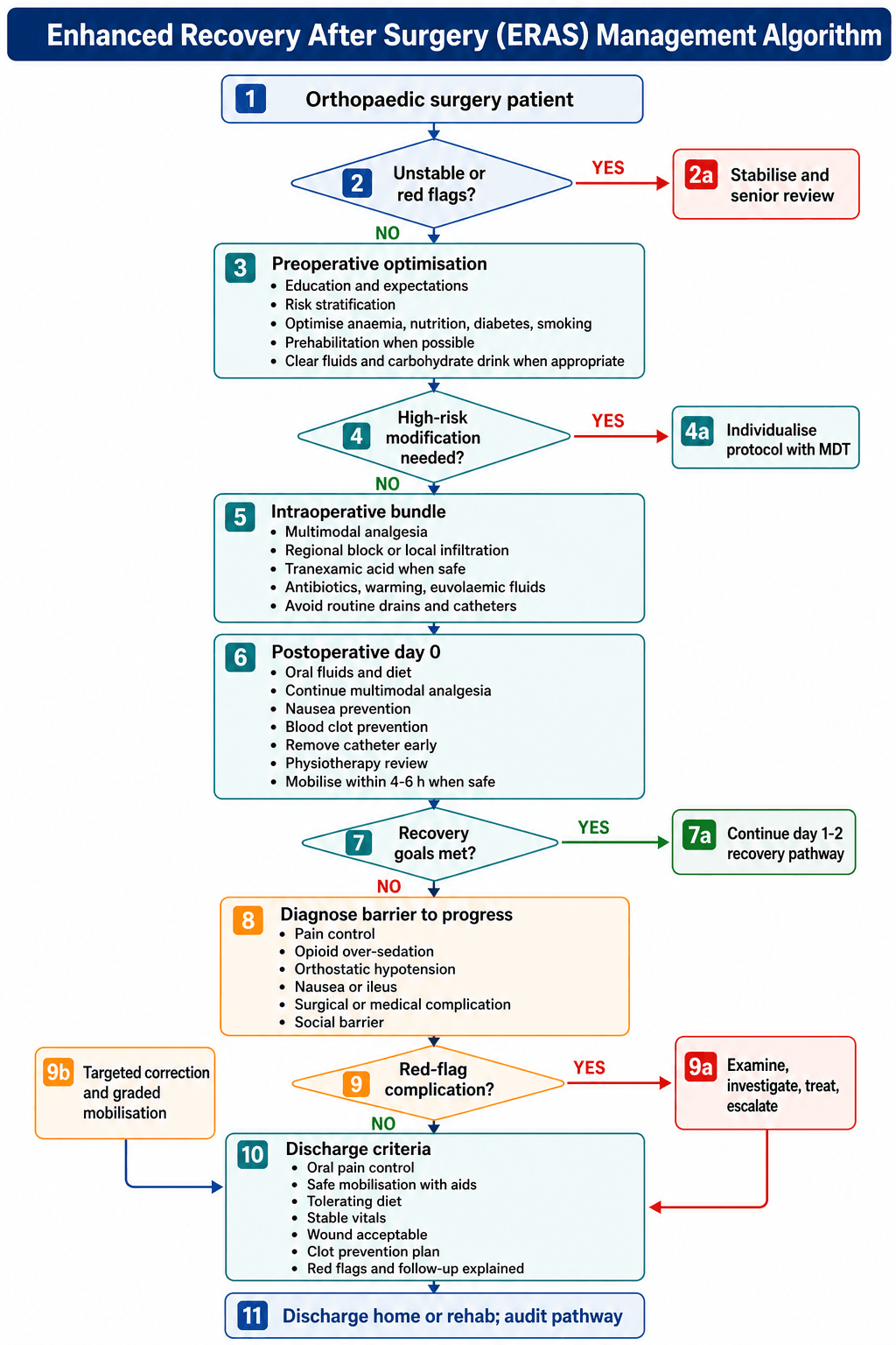 Flowchart: enhanced recovery after surgery (ERAS) pathway for the orthopaedic patient.