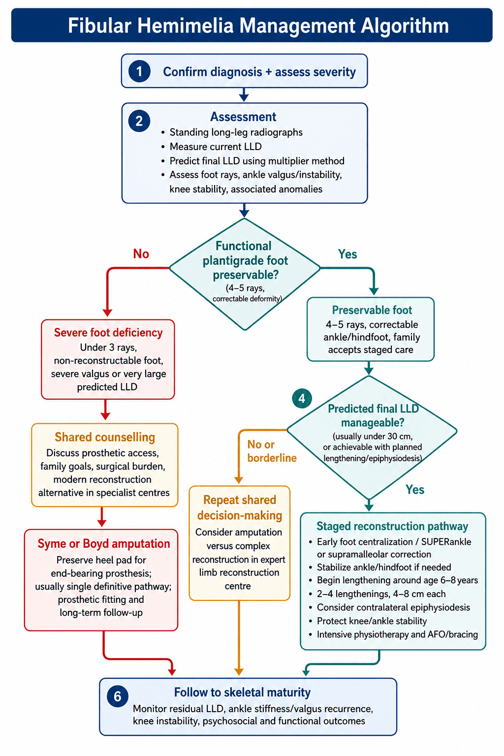 Fibular hemimelia management algorithm flowchart