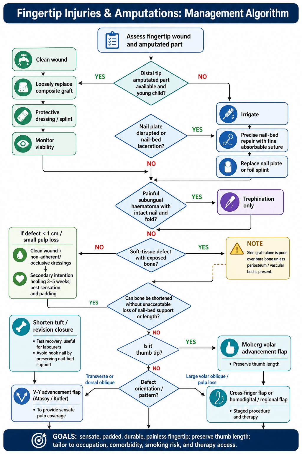 Fingertip injuries and amputations management-algorithm flowchart: from wound and amputated-part assessment through nail-bed and subungual-haematoma decisions to soft-tissue defect management and flap selection.