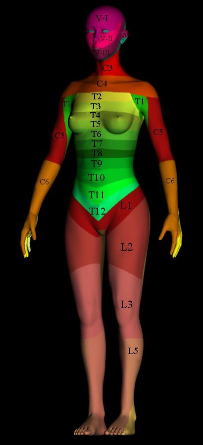Dermatome map of the body labelled by spinal level (C3 to L5) used for the ASIA sensory examination