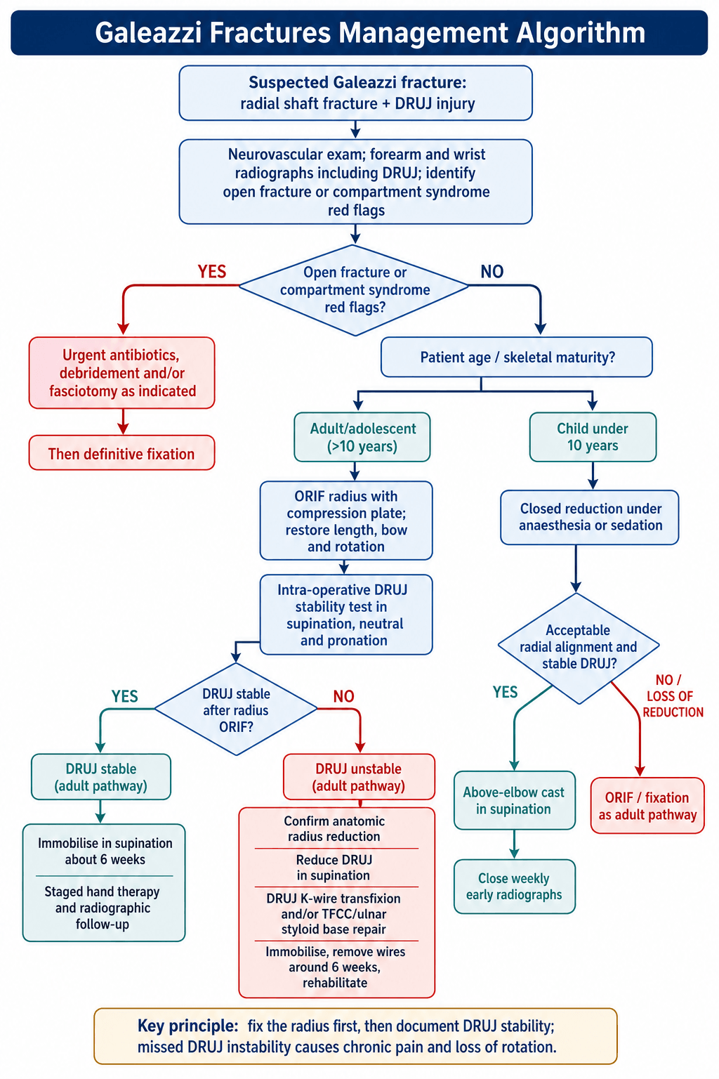 Galeazzi Fracture Management Algorithm