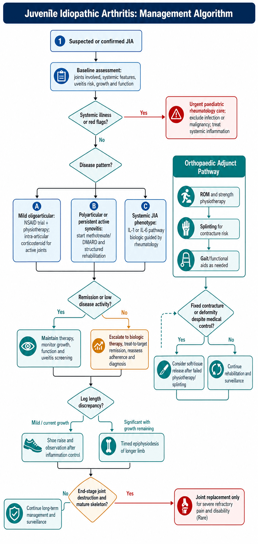 Management algorithm for juvenile idiopathic arthritis: baseline assessment, red-flag branch, disease-pattern-directed medical therapy, treat-to-target escalation, orthopaedic adjunct pathway, leg-length management and end-stage arthroplasty