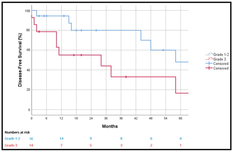 Kaplan-Meier disease-free survival curves comparing grade 1-2 with grade 3 sarcoma