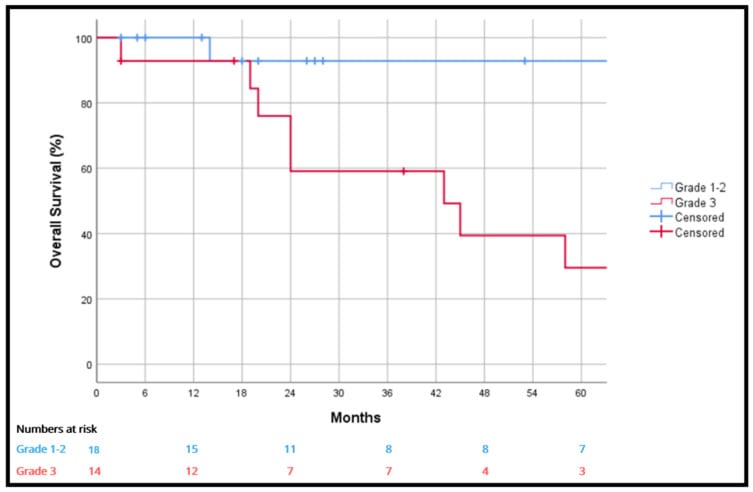 Kaplan-Meier overall survival curves comparing grade 1-2 with grade 3 sarcoma