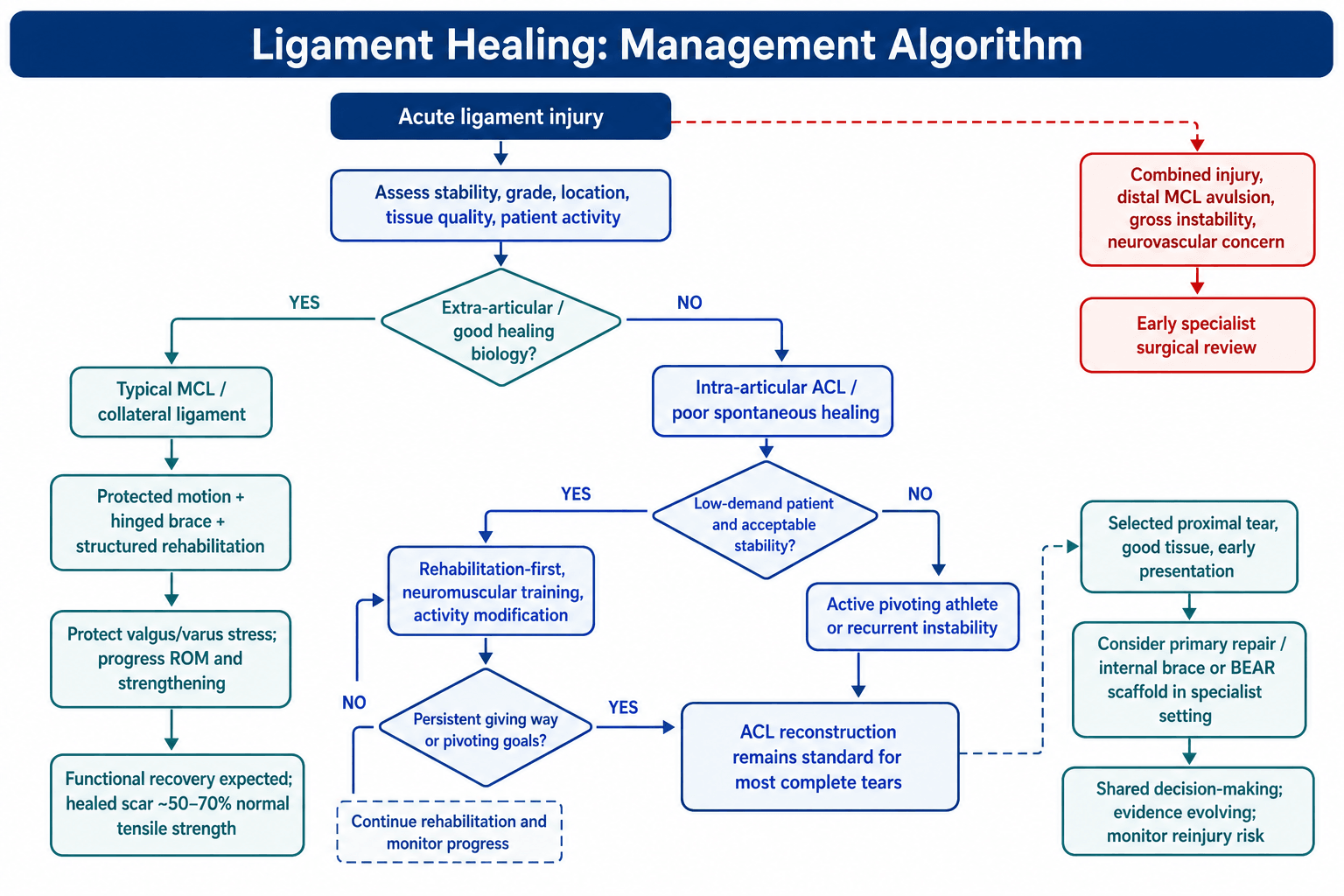 Ligament-healing management algorithm branching on extra-articular (MCL) vs intra-articular (ACL) injury, with the rehabilitation-first vs reconstruction decision and the selected proximal-tear repair/BEAR pathway.