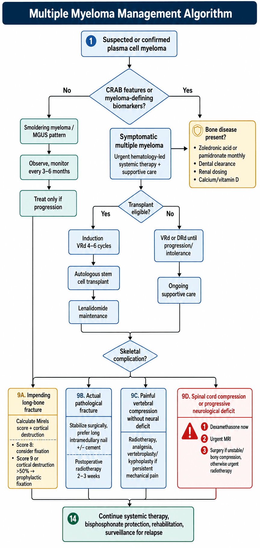 multiple myeloma management algorithm