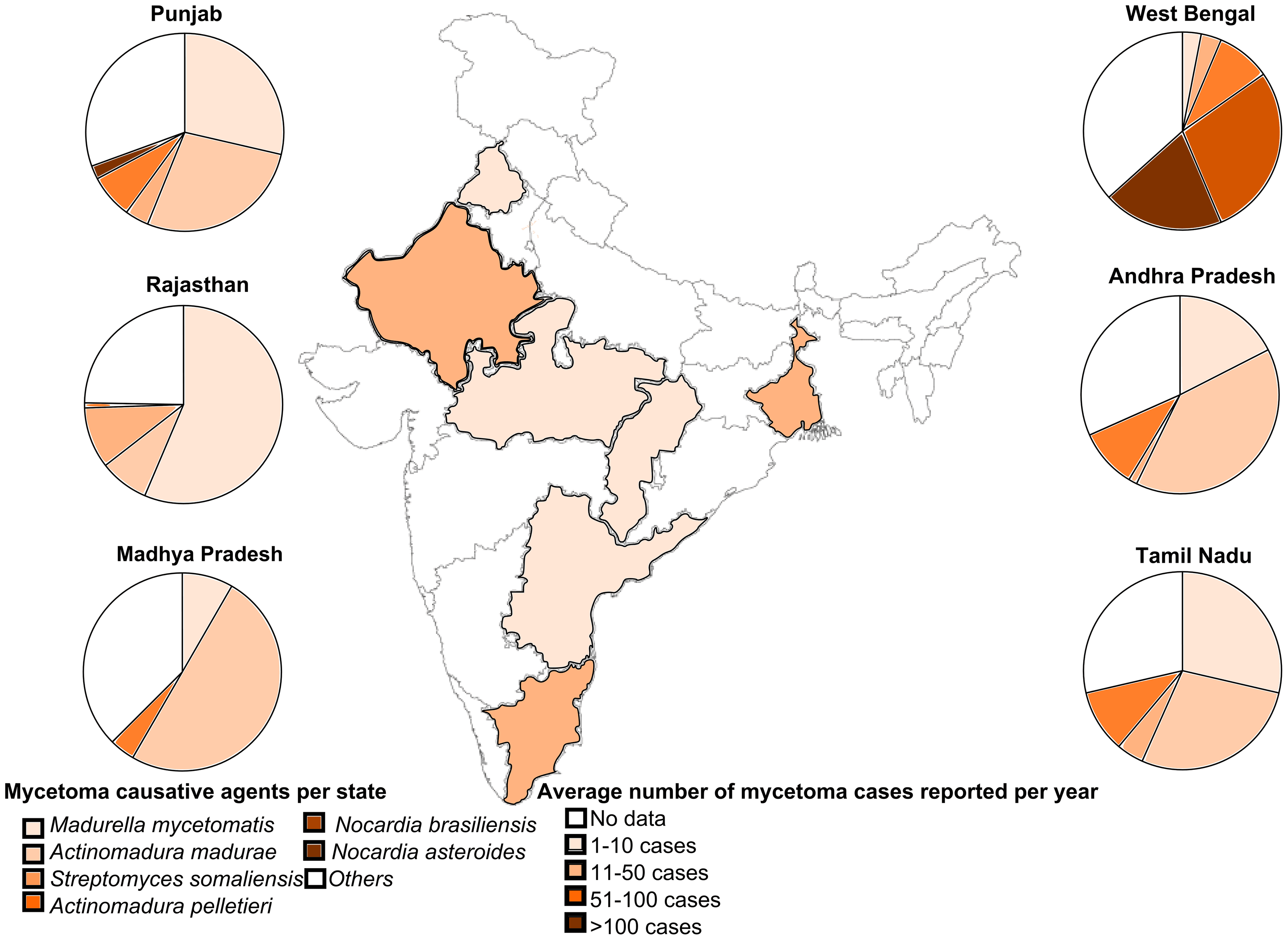 Map of India showing the number of reported mycetoma cases by state with pie charts of causative organisms.