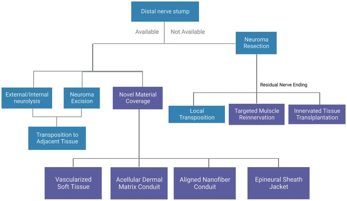 Decision tree of reconstructive and ablative surgical options for a traumatic neuroma according to distal nerve availability.