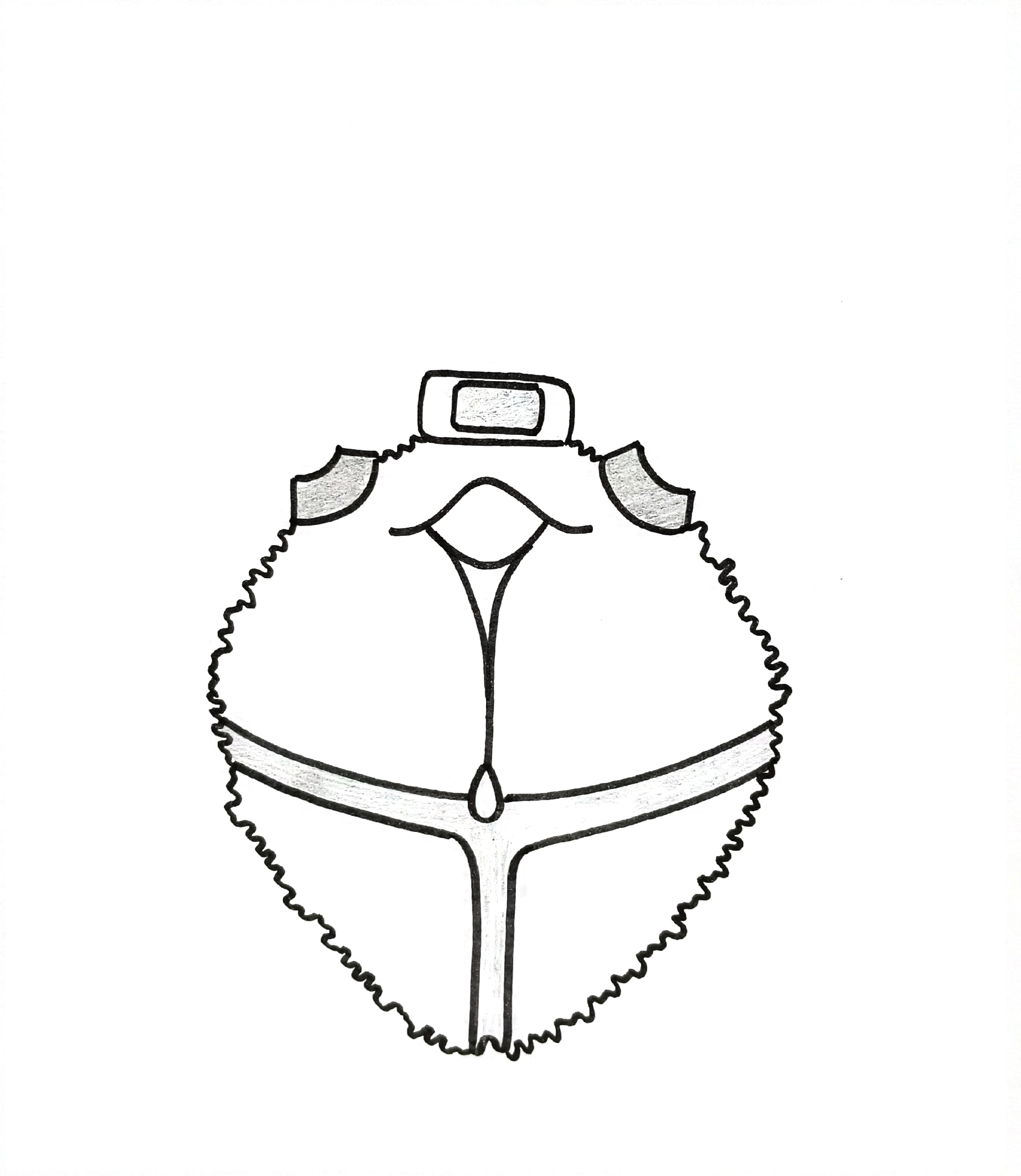 Photograph of the inner surface of a dry occipital bone showing the sigmoid sinus groove, mastoid border, foramen magnum and vermian fossa.