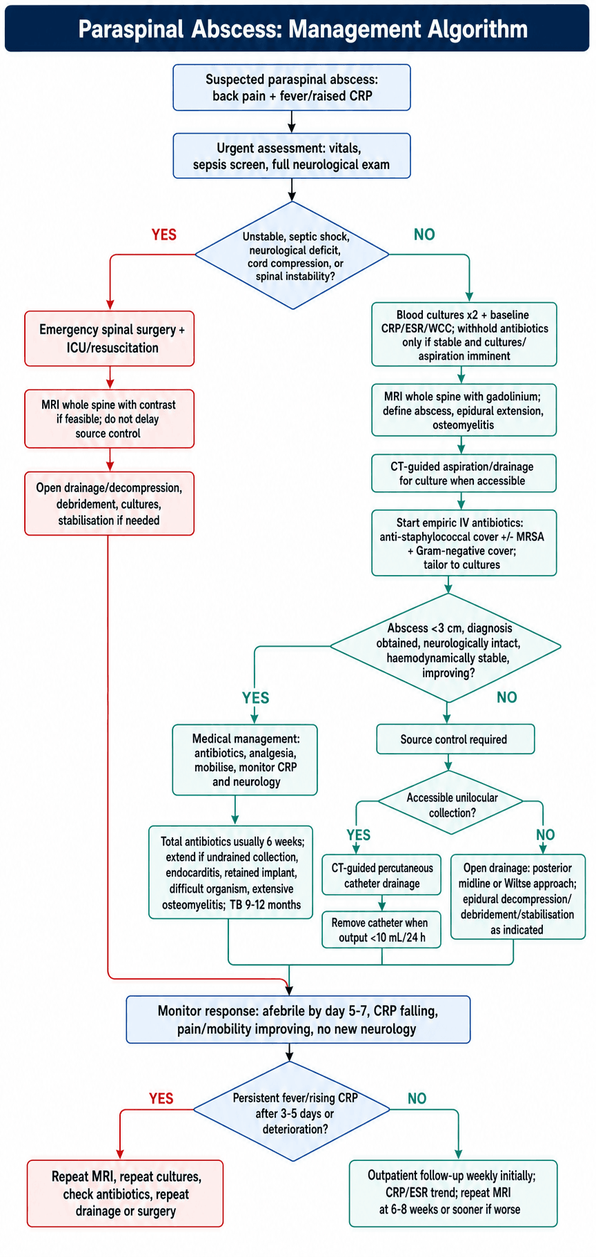 Management algorithm for Paraspinal Abscess
