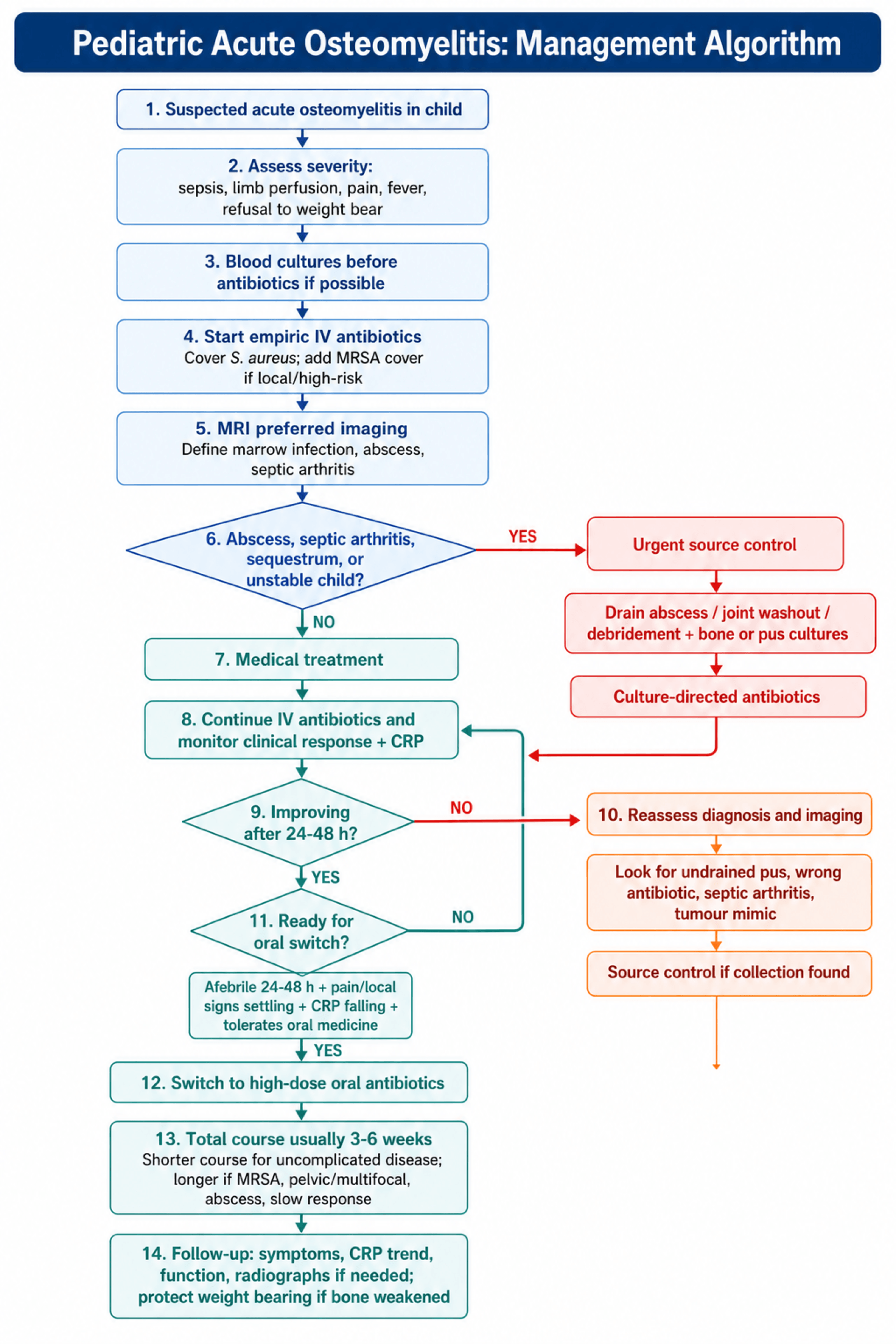Pediatric Acute Osteomyelitis Management Algorithm