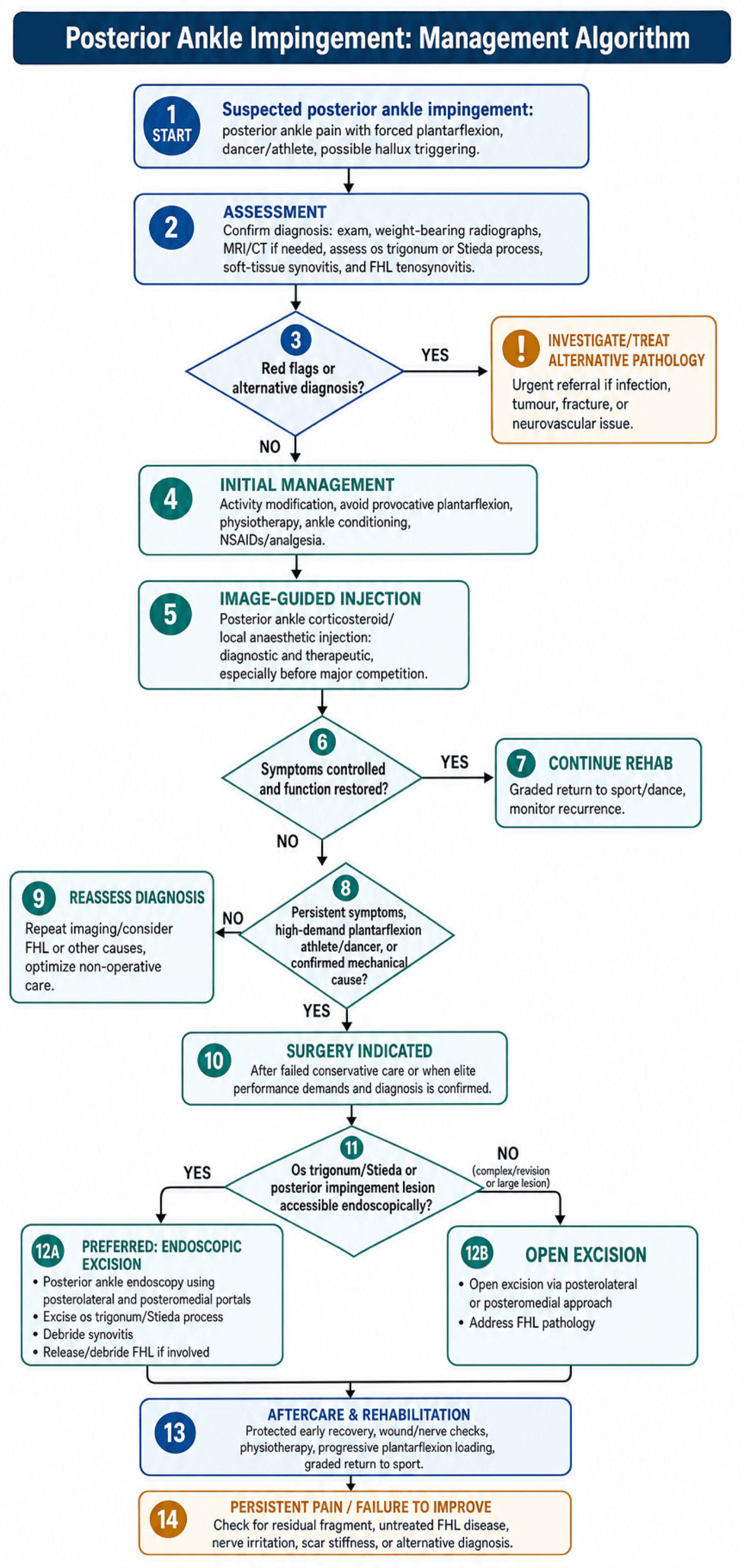 Fourteen-step management algorithm for posterior ankle impingement from suspected diagnosis through injection to endoscopic versus open excision and rehabilitation.