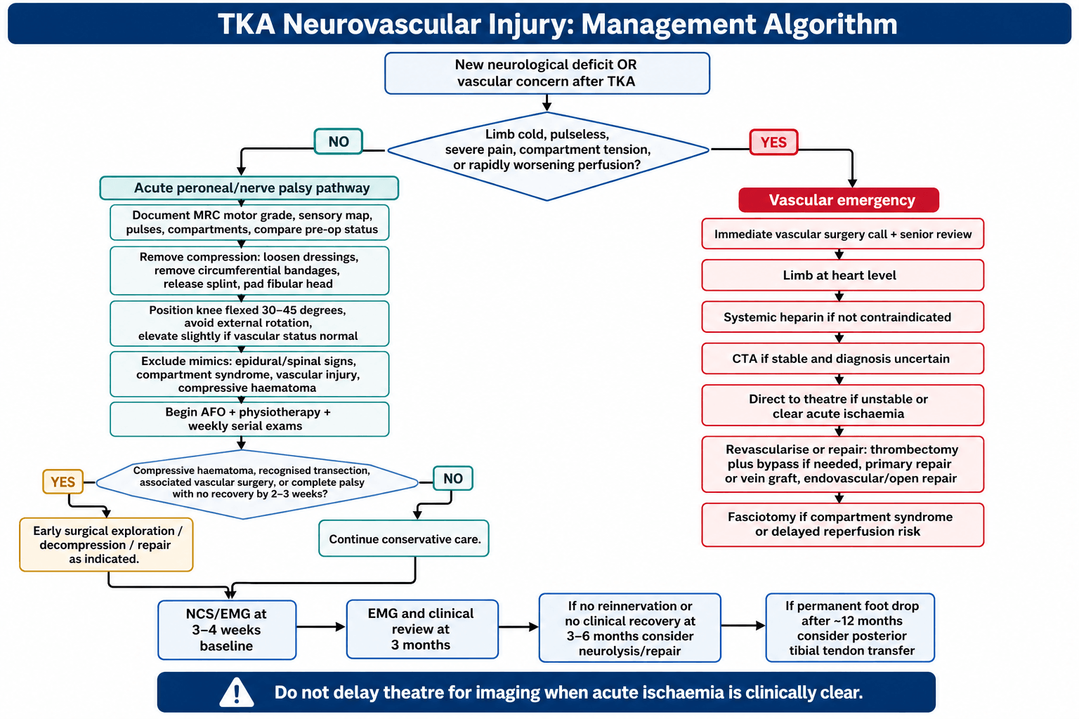 Flowchart: management algorithm for neurovascular injury after total knee arthroplasty.