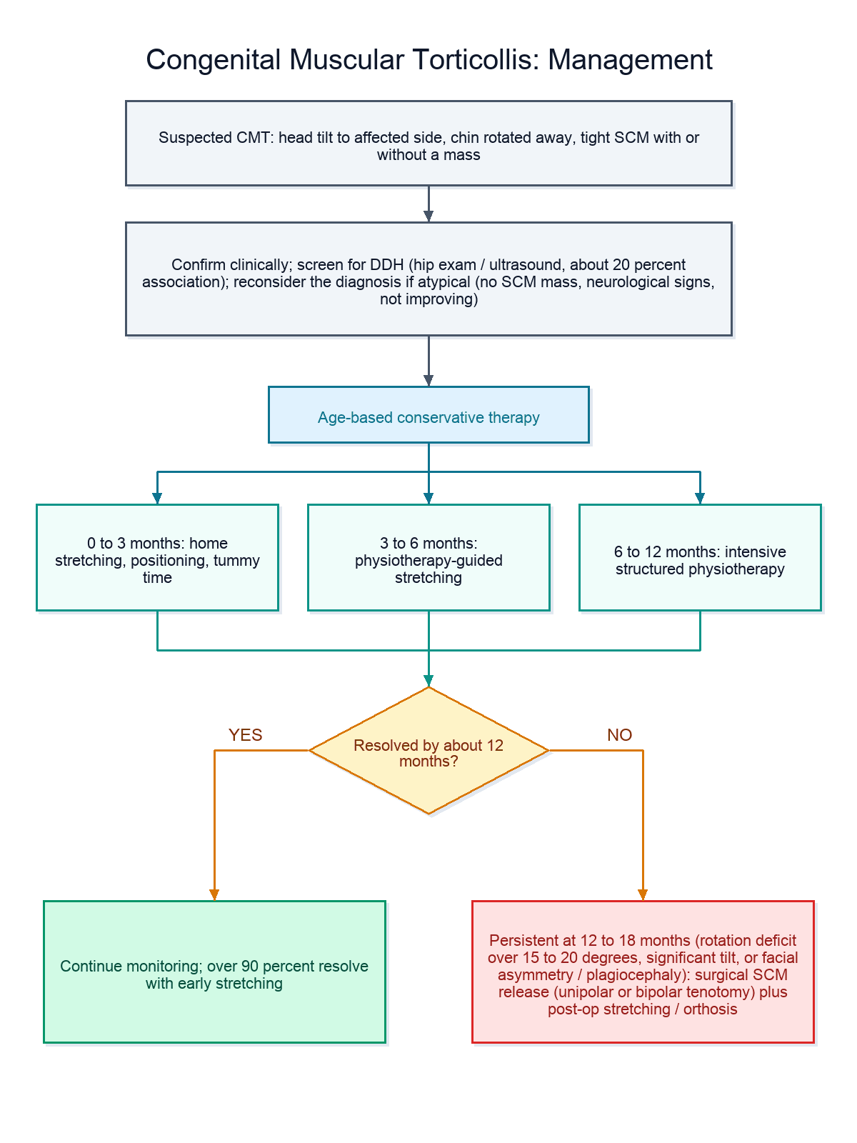 Management algorithm for congenital muscular torticollis from screening to age-based conservative therapy and surgical release