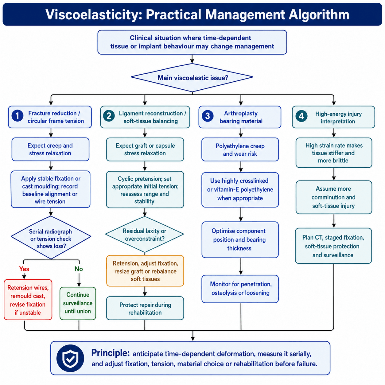 Practical management algorithm for applying viscoelastic principles across four clinical situations