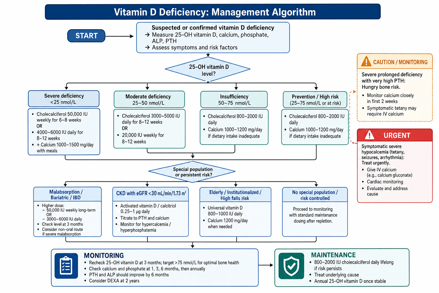 Vitamin D deficiency management algorithm branching by 25-OH-D level and special population, with hungry-bone and symptomatic-hypocalcaemia alerts.