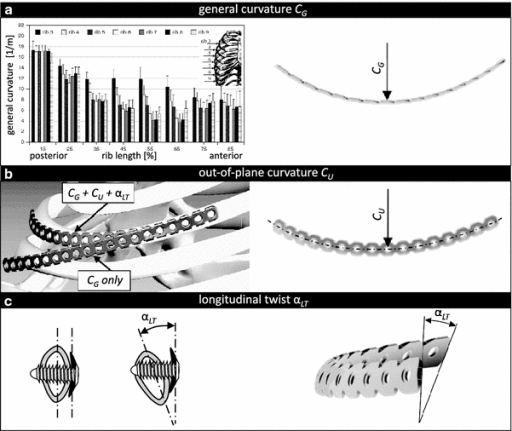 Clinical image for Orthopaedic Implant Biomaterials