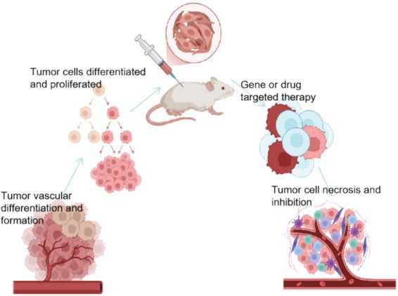 Molecular pathway schematic of ASPSCR1-TFE3 fusion protein driving MET and VEGF