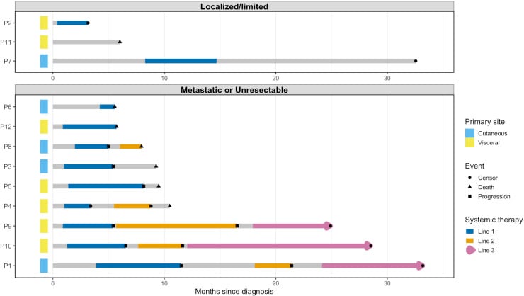 Swimmer plot of individual angiosarcoma treatment courses showing successive systemic therapy lines against months since diagnosis