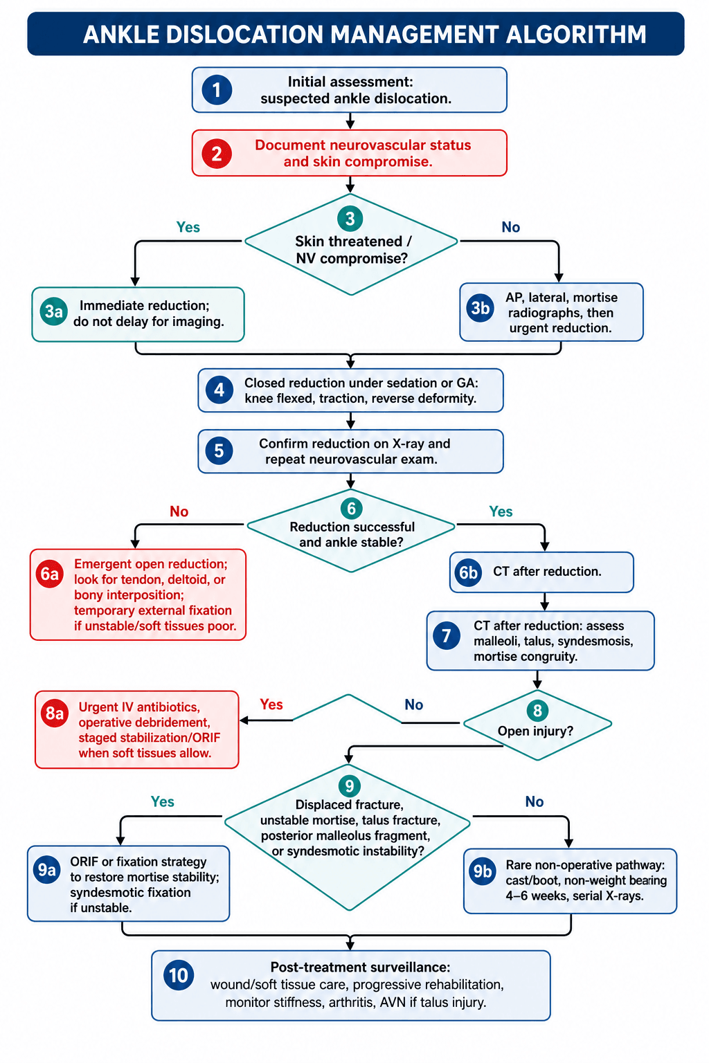 Ankle Dislocation Management diagram Algorithm