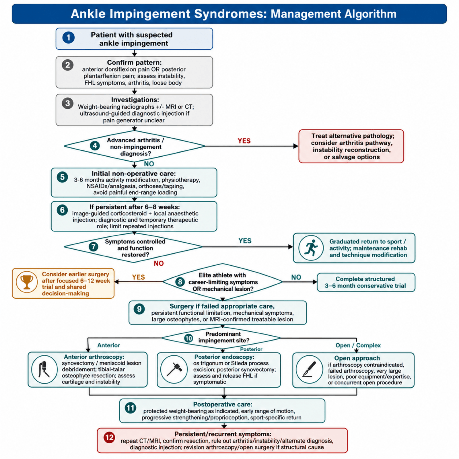 Management algorithm for ankle impingement syndromes from suspected diagnosis through non-operative care to anterior arthroscopy, posterior endoscopy or open surgery.