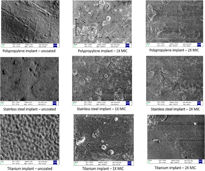 Microscopy of bacterial biofilm on surgical implant materials
