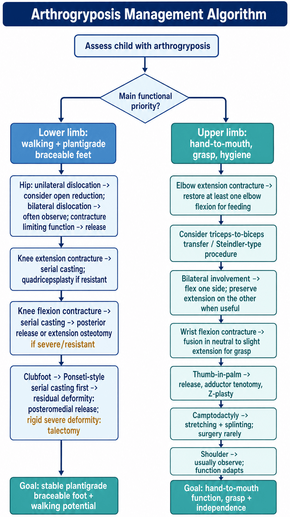 Arthrogryposis management algorithm split into lower-limb and upper-limb priorities