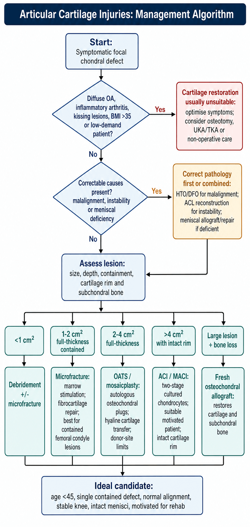 Articular cartilage injuries management algorithm flowchart