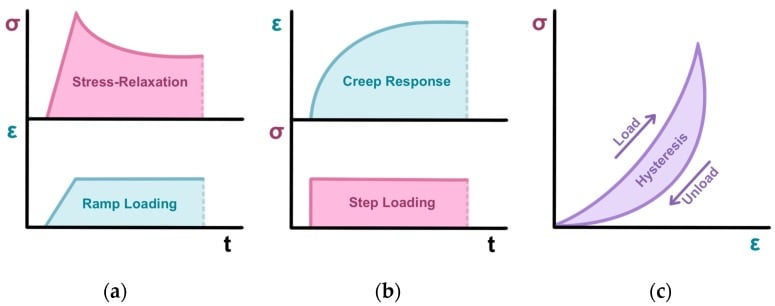 Diagrams of cartilage stress relaxation creep and hysteresis