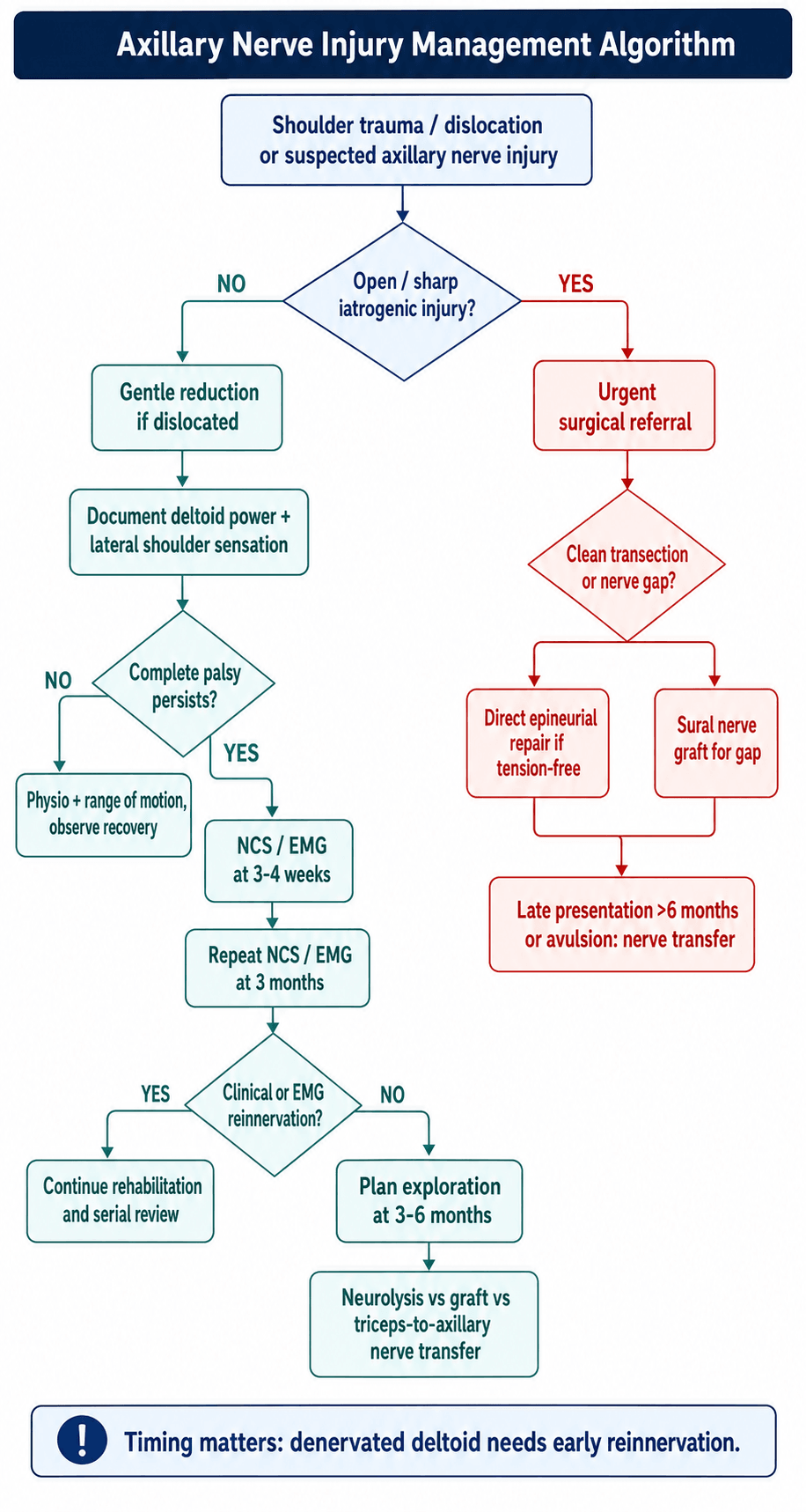 Axillary nerve injury management algorithm flowchart