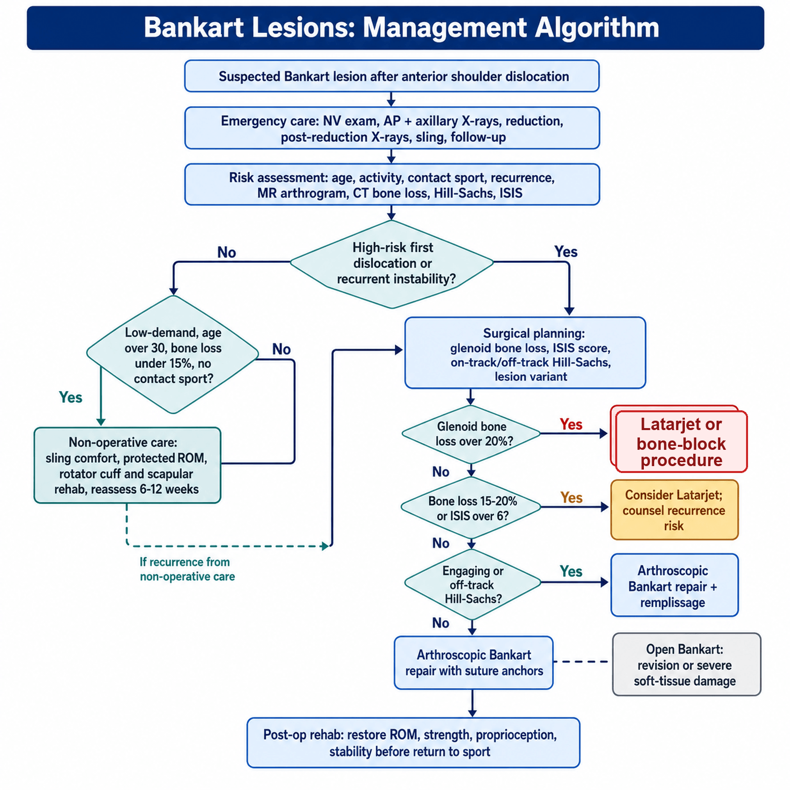 Flowchart: management algorithm for Bankart lesions and anterior shoulder instability.