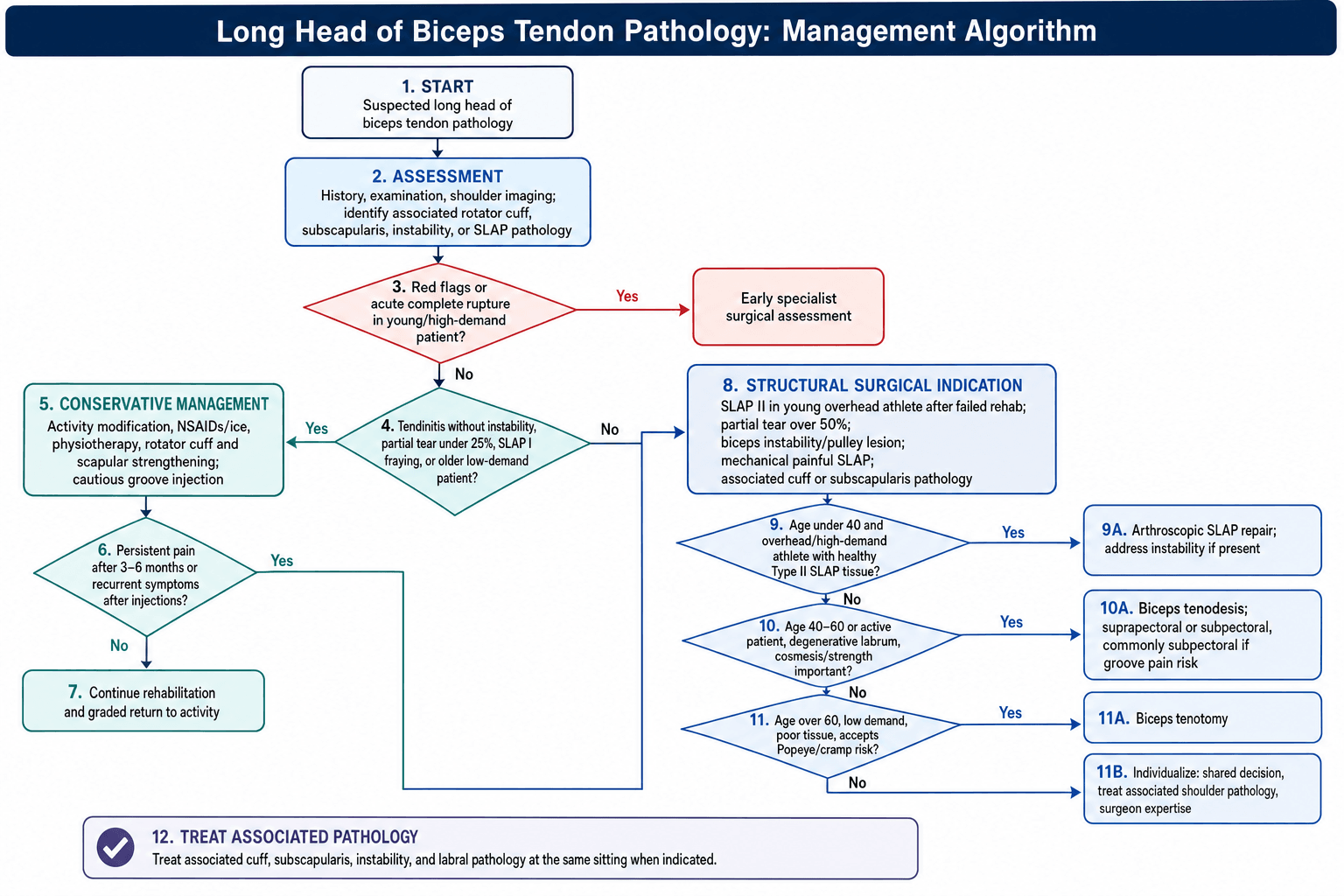 Flowchart: management algorithm for long head of biceps tendon pathology.