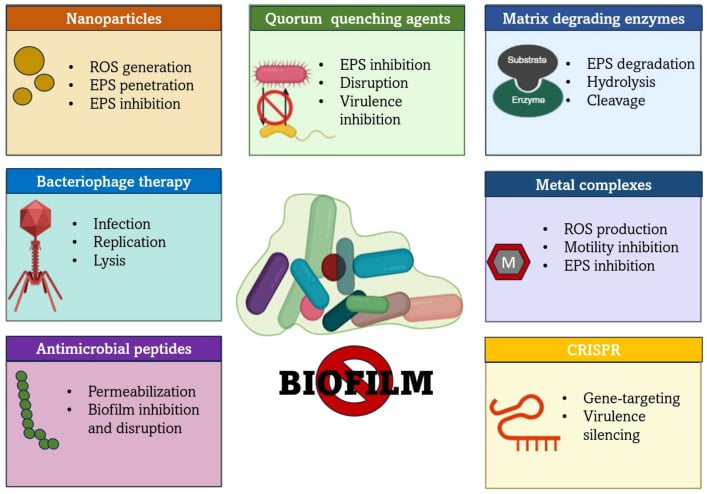 Overview diagram of anti-biofilm therapeutic strategies and mechanisms of action