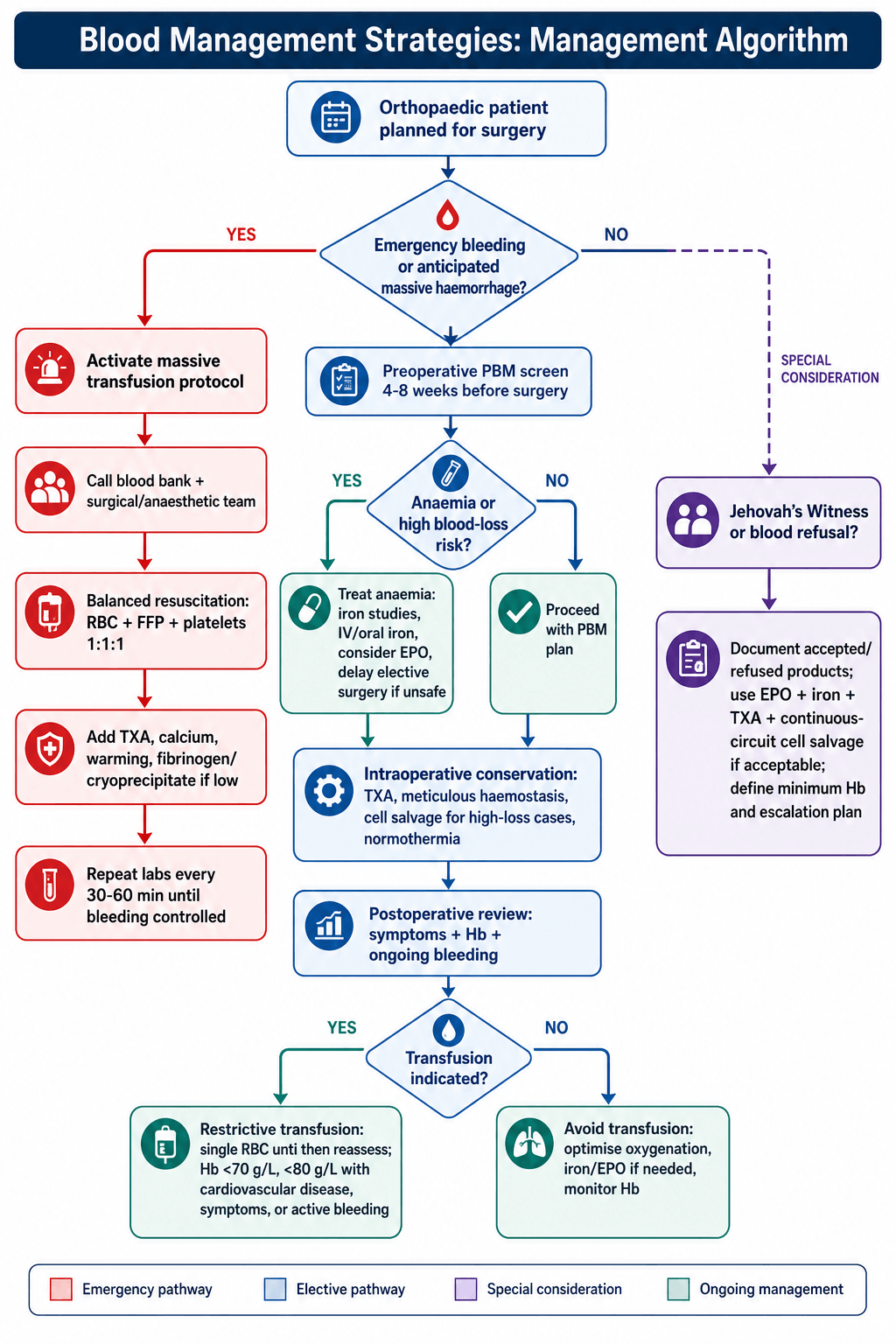 Flowchart: patient blood management algorithm for the orthopaedic surgical patient.