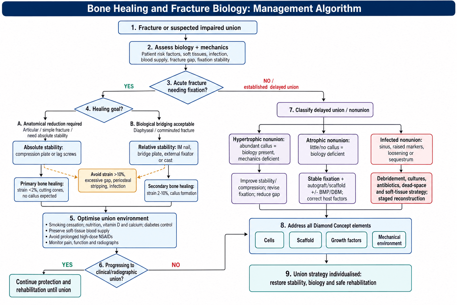 Flowchart: applying bone-healing biology to fracture management.