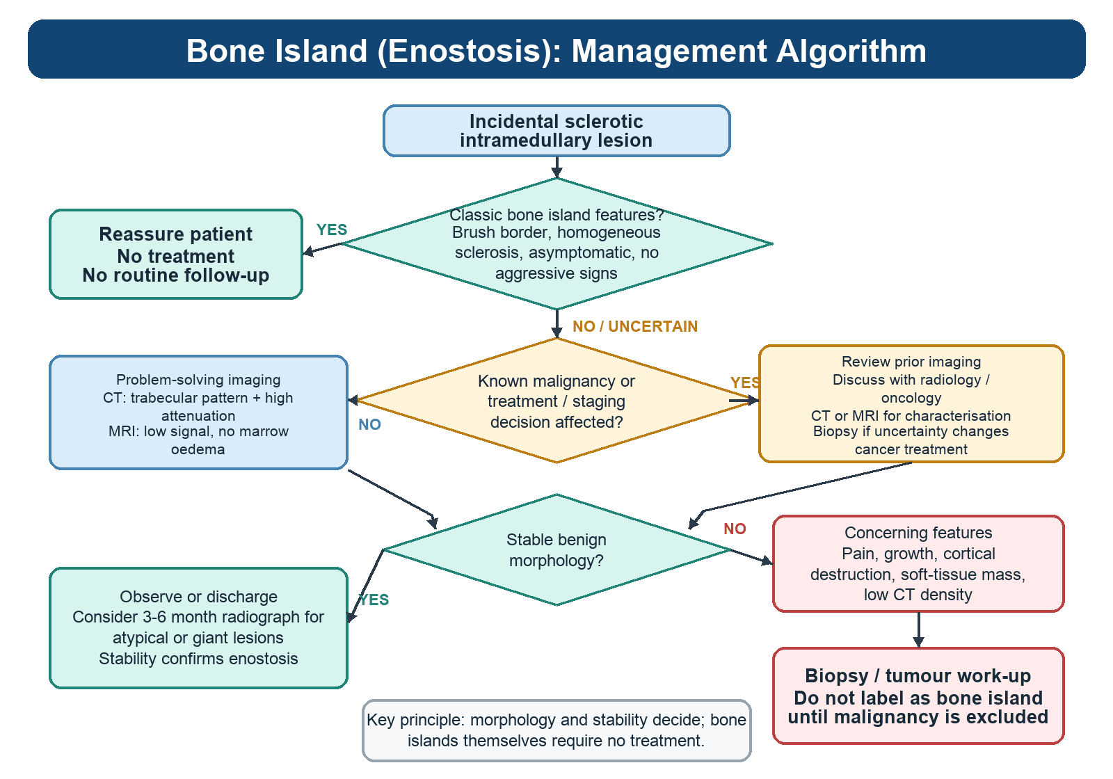 Bone island management algorithm branching on classic features, known malignancy, and stable benign morphology.