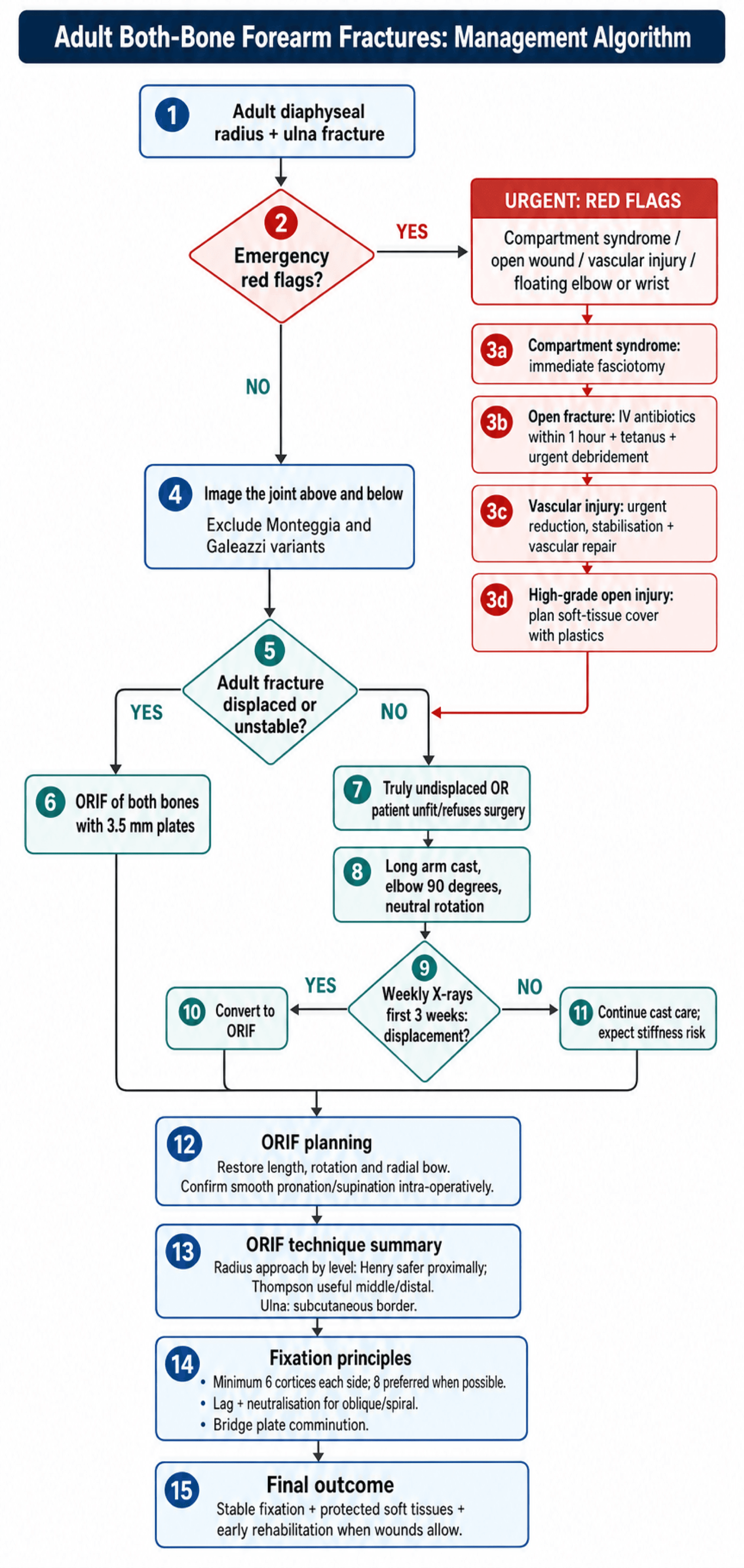 Flowchart: management algorithm for adult both-bone forearm fractures, from red-flag triage to ORIF and reduction principles.