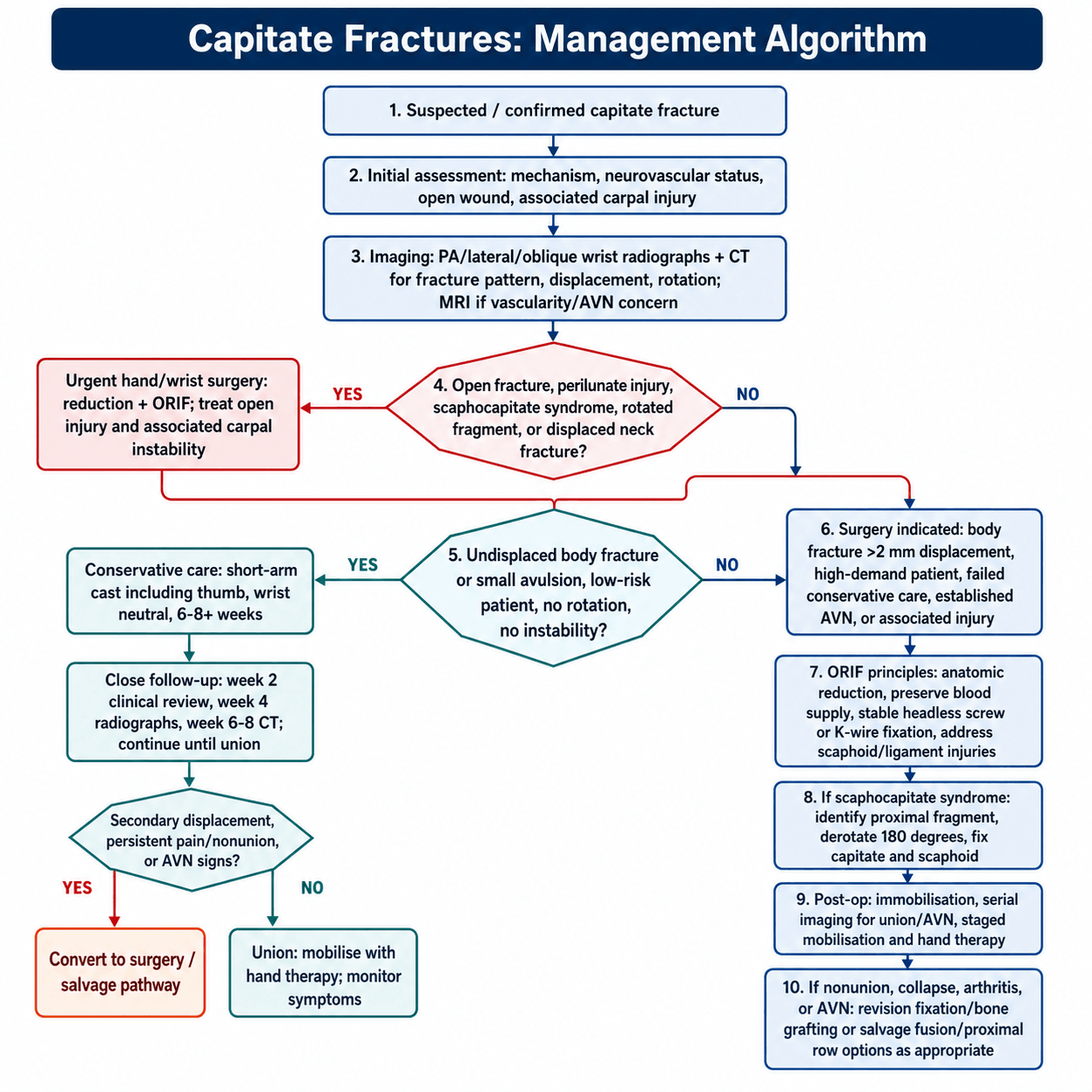 capitate fractures management algorithm