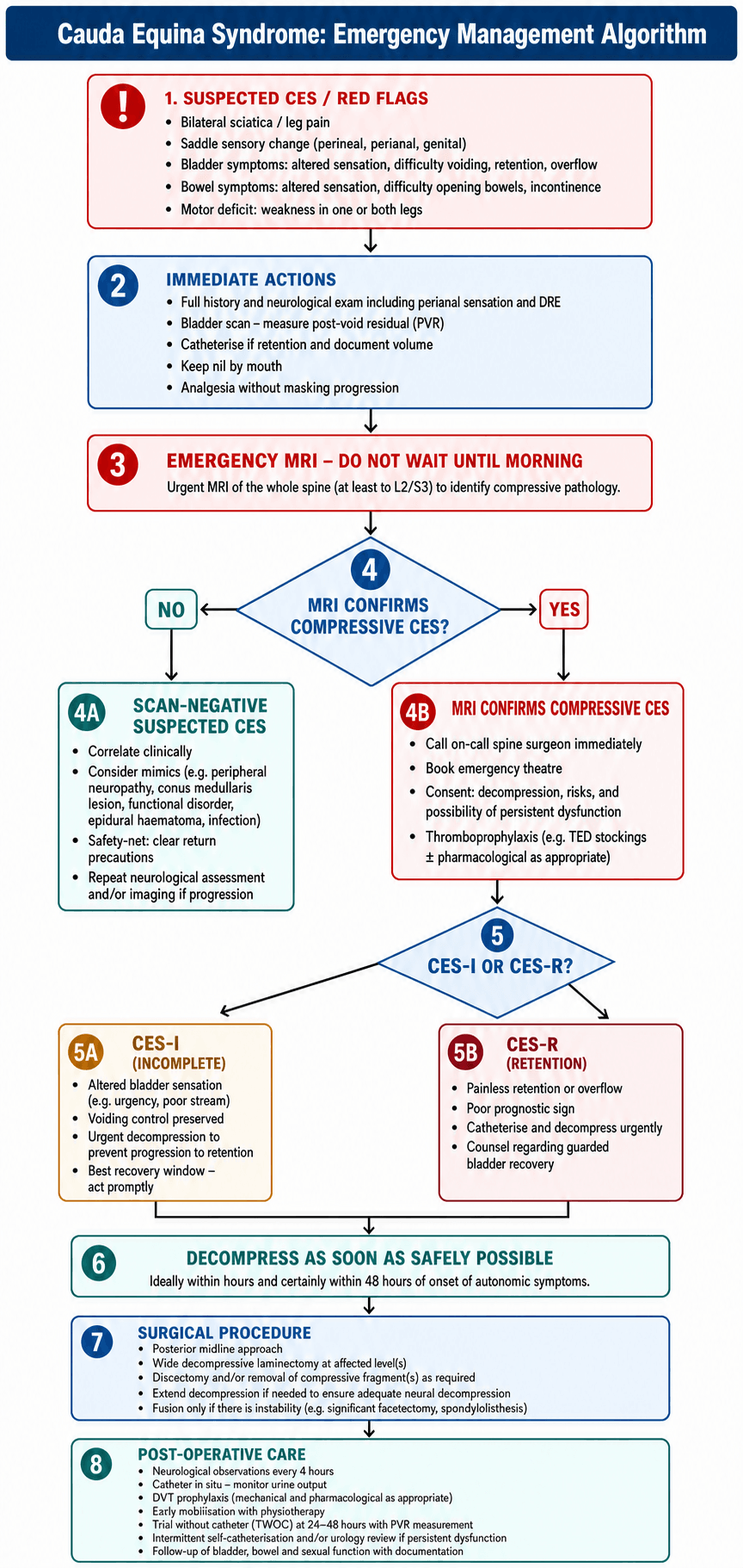 Cauda Equina Syndrome Management Algorithm