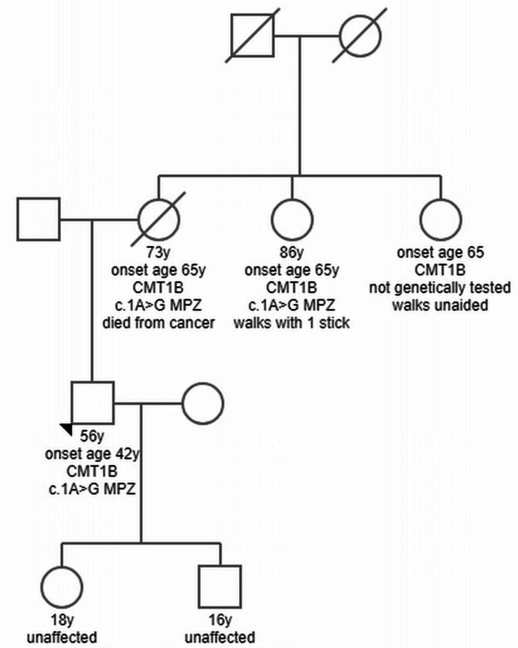 Family pedigree of an index patient with Charcot-Marie-Tooth disease type 1B showing affected relatives across three generations with age of onset